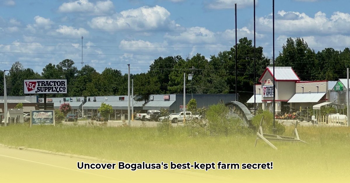 tractor-supply-bogalusa